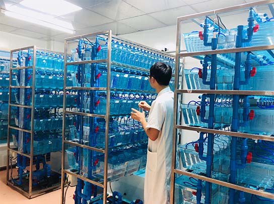 Z6·尊龙凯时「中国区」官方网站